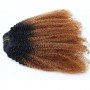 Afro Curly Clip In Hair Extension Human Hair Bundle Ombre  Curl Virgin Hair Extensions Clips In Hair for Black Women