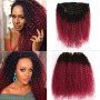 Ombre Red Clip In Human Hair for Black Women Girls Afro Kinky Curly 120 Gram 7 Pieces Clips In Hair Extensions Human Hair Bundle