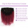 Ombre Red Clip In Human Hair for Black Women Girls Afro Kinky Curly 120 Gram 7 Pieces Clips In Hair Extensions Human Hair Bundle